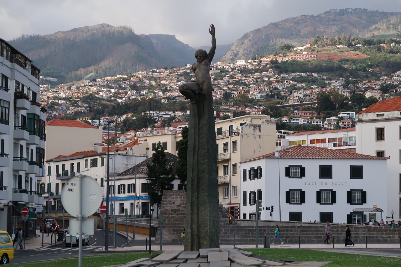 madeira  architecture  town free photo