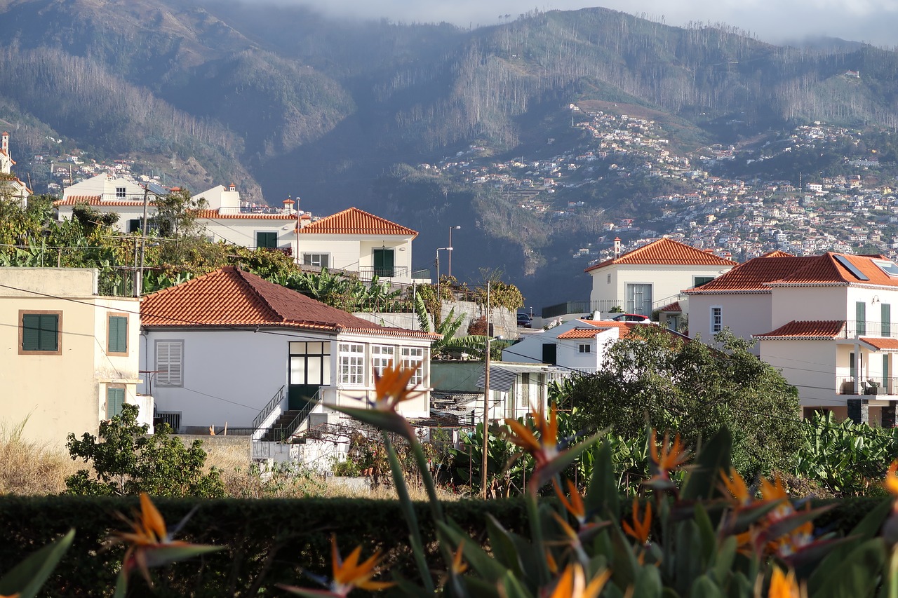 madeira  house  town free photo