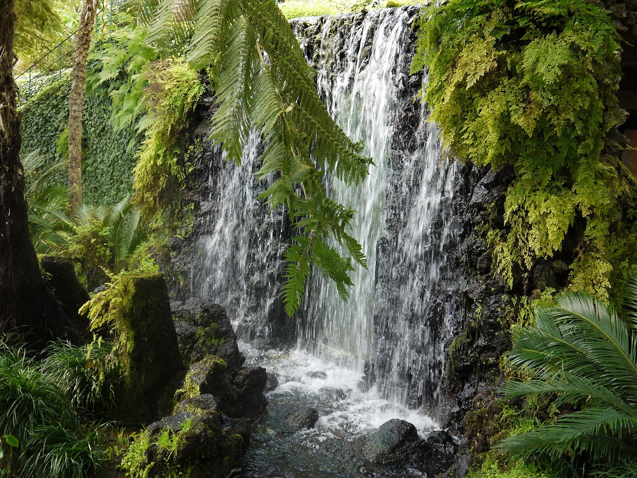 madeira waterfall water free photo