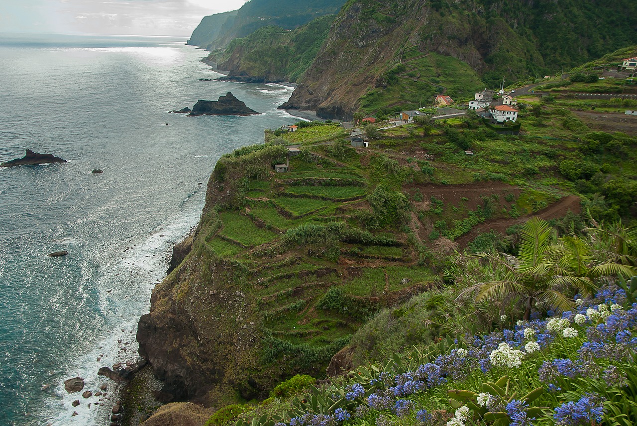 madeira  cliffs  portugal free photo