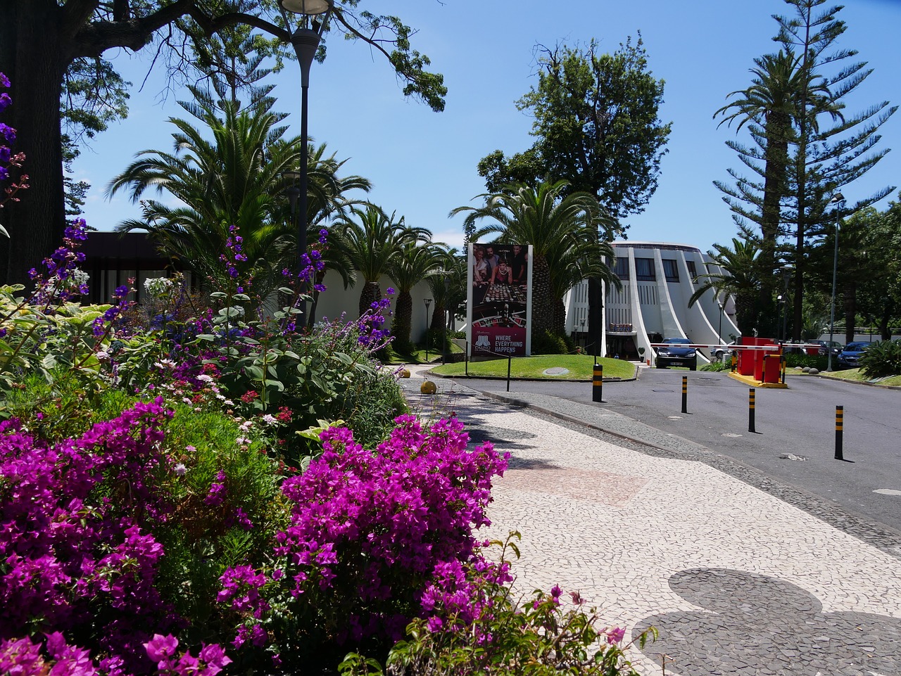 madeira  funchal  casino free photo