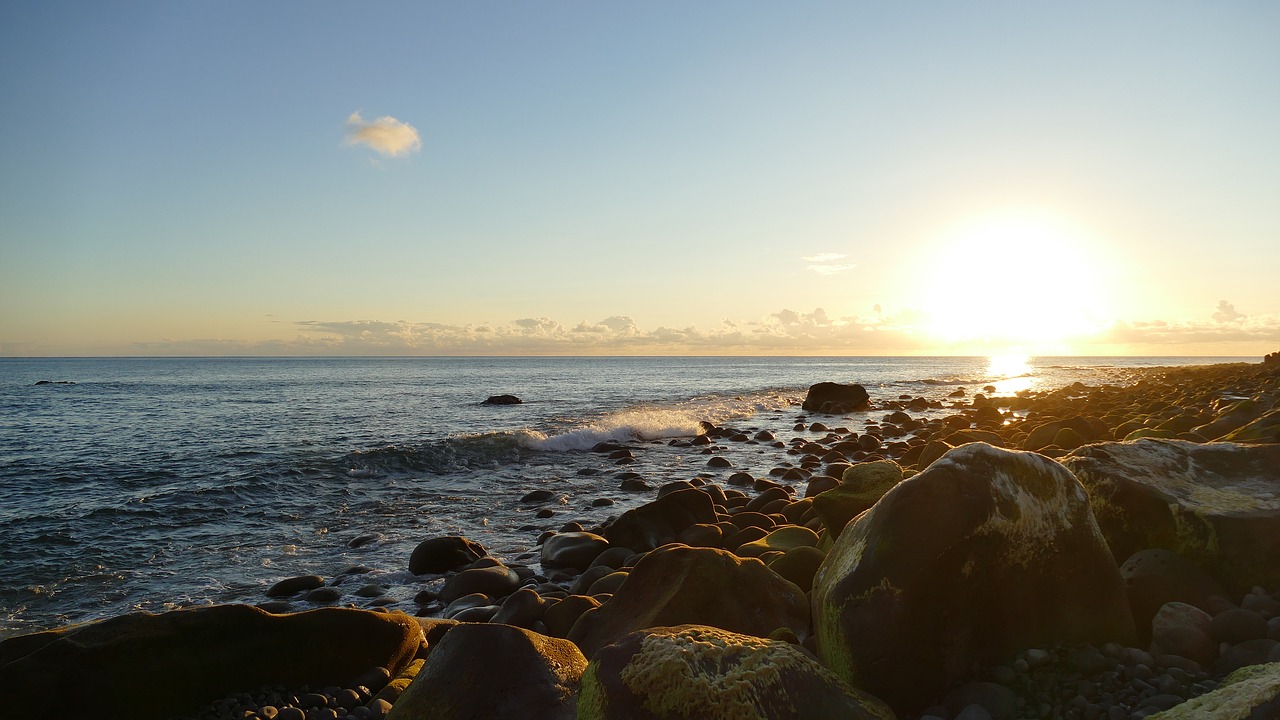 madeira  sunset  sea free photo