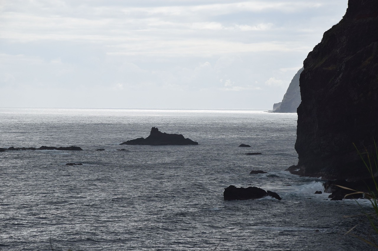 madeira  atlantic  summer free photo