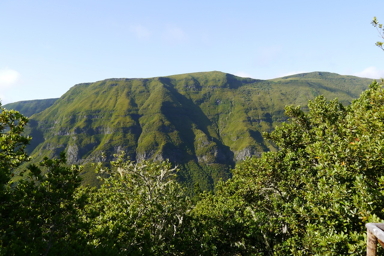 madeira mountain green free photo