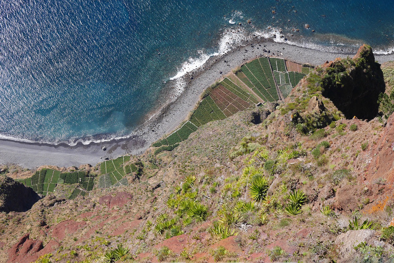 madeira  cliff  sea free photo