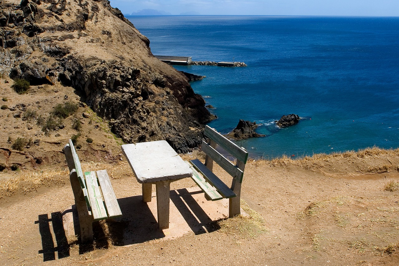 madeira landscape sea free photo