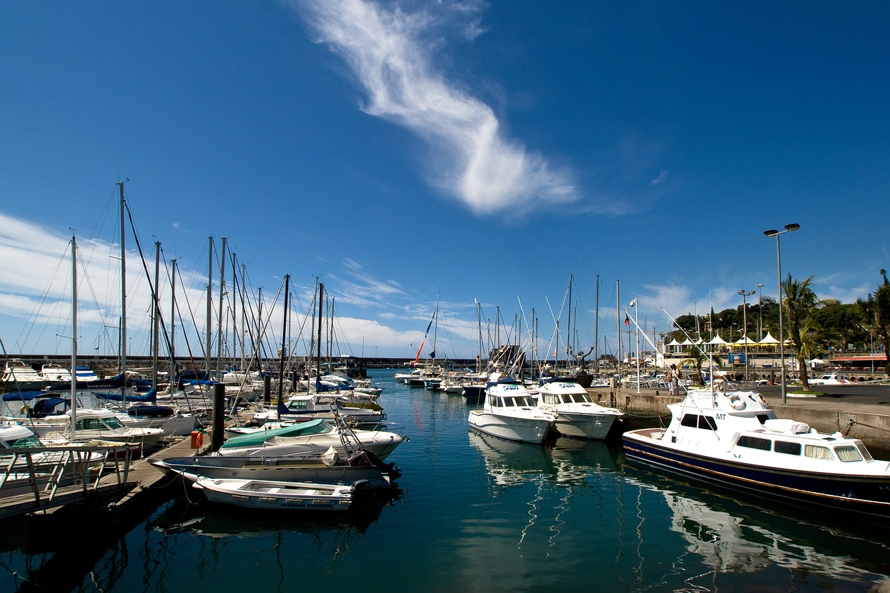 madeira water sailing boats free photo