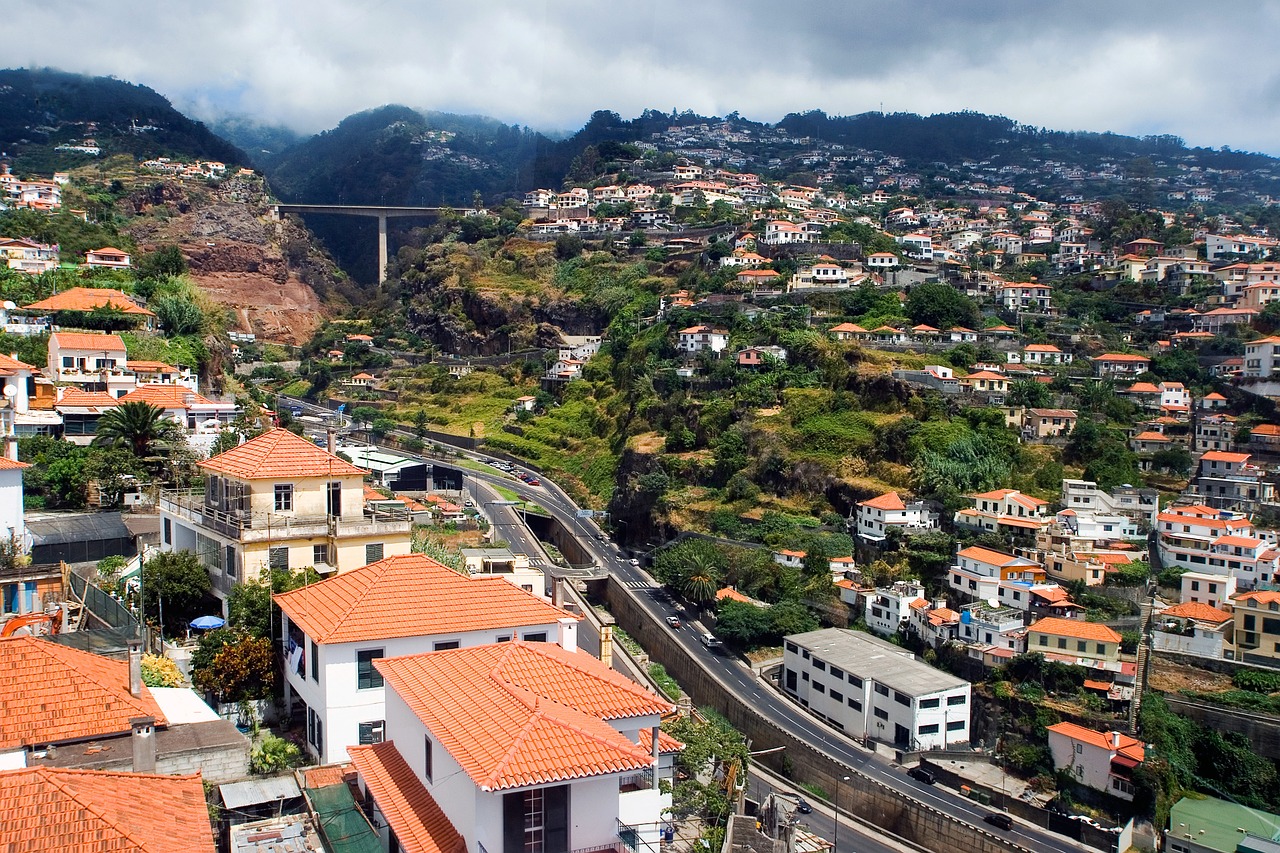 madeira funchal panorama free photo