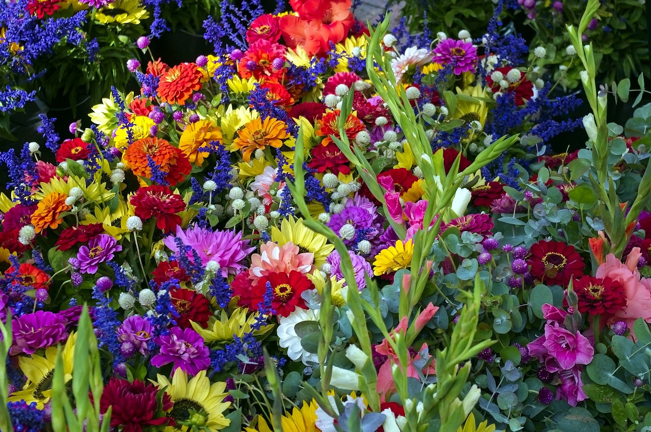 madison market mixed flowers  sunflowers  flowers free photo