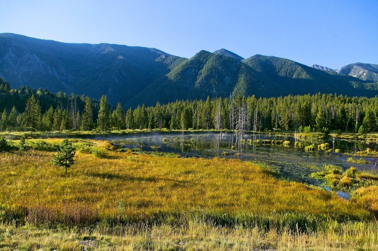 madison river scenery  montana  river free photo