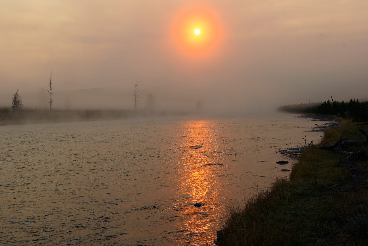madison river sunrise  yellowstone  national free photo