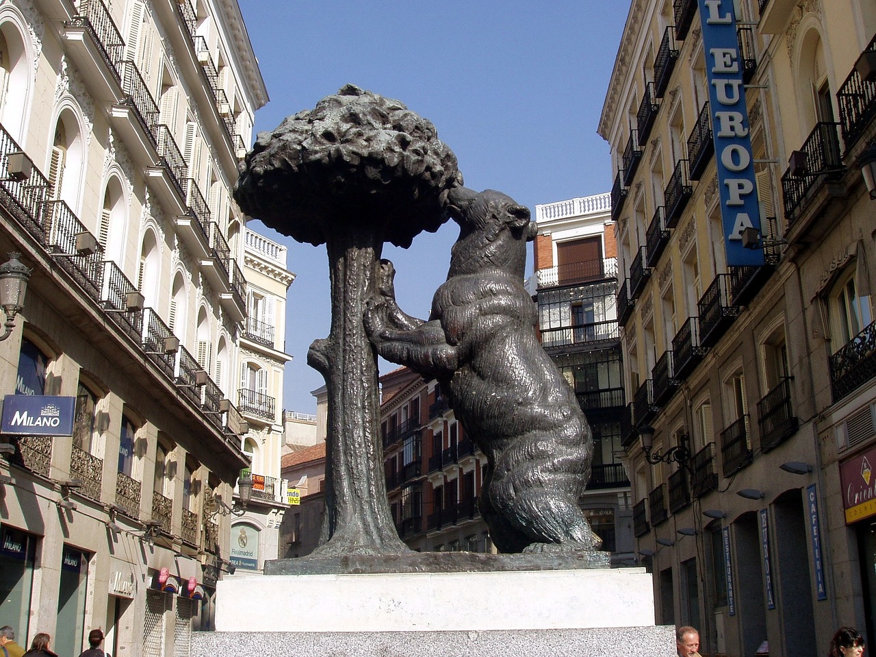 madrid spain bear and arbutus free photo