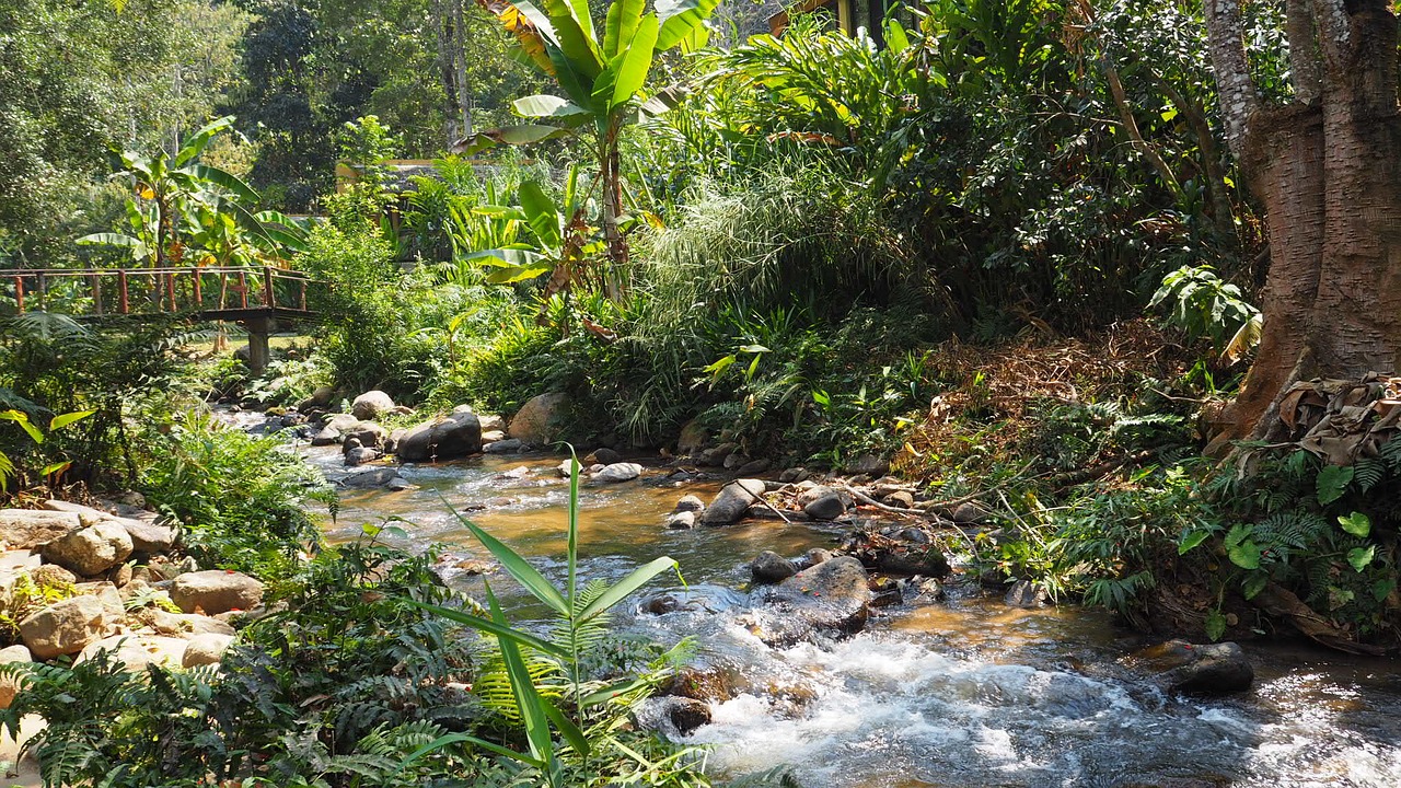 maekampong chiang mai thailand view free photo