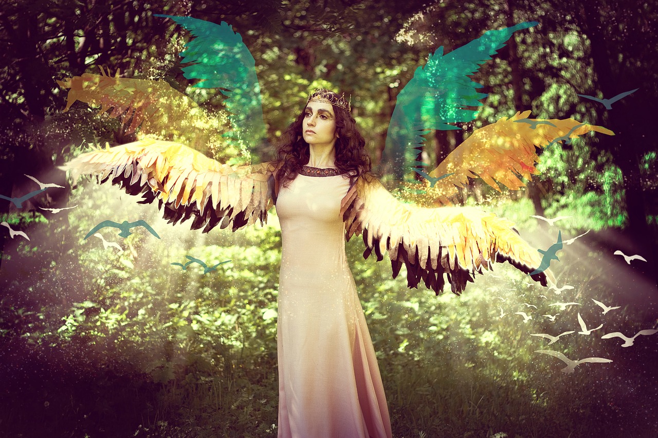 magic  fairy  wings free photo
