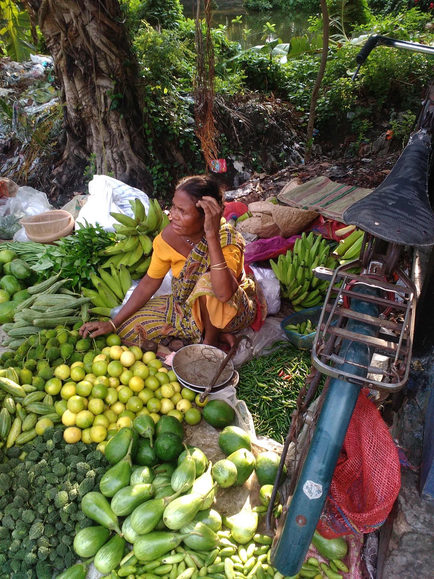 gramin market various green vegetables free photo