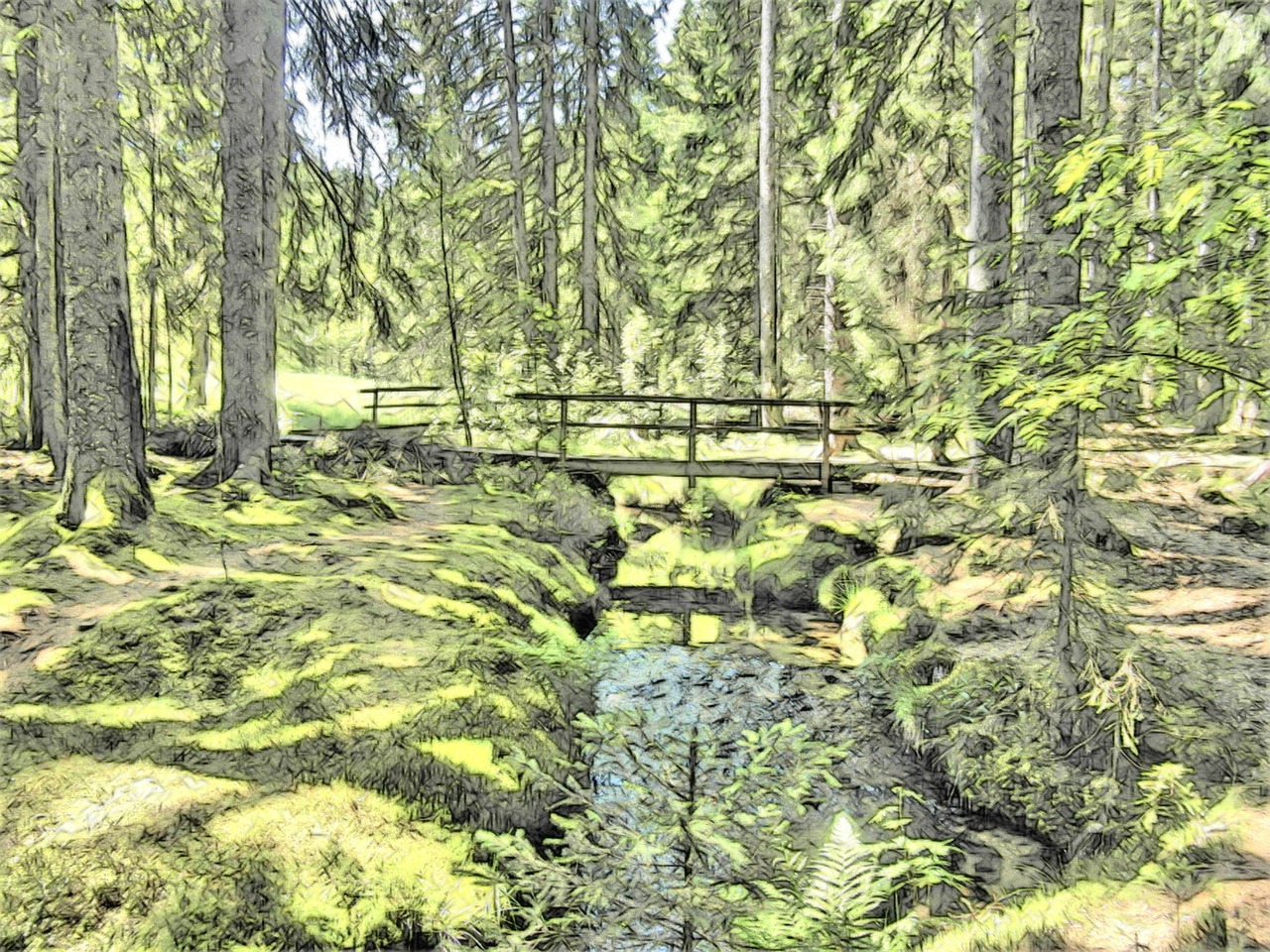 magic forest fairy tale forest bridge free photo