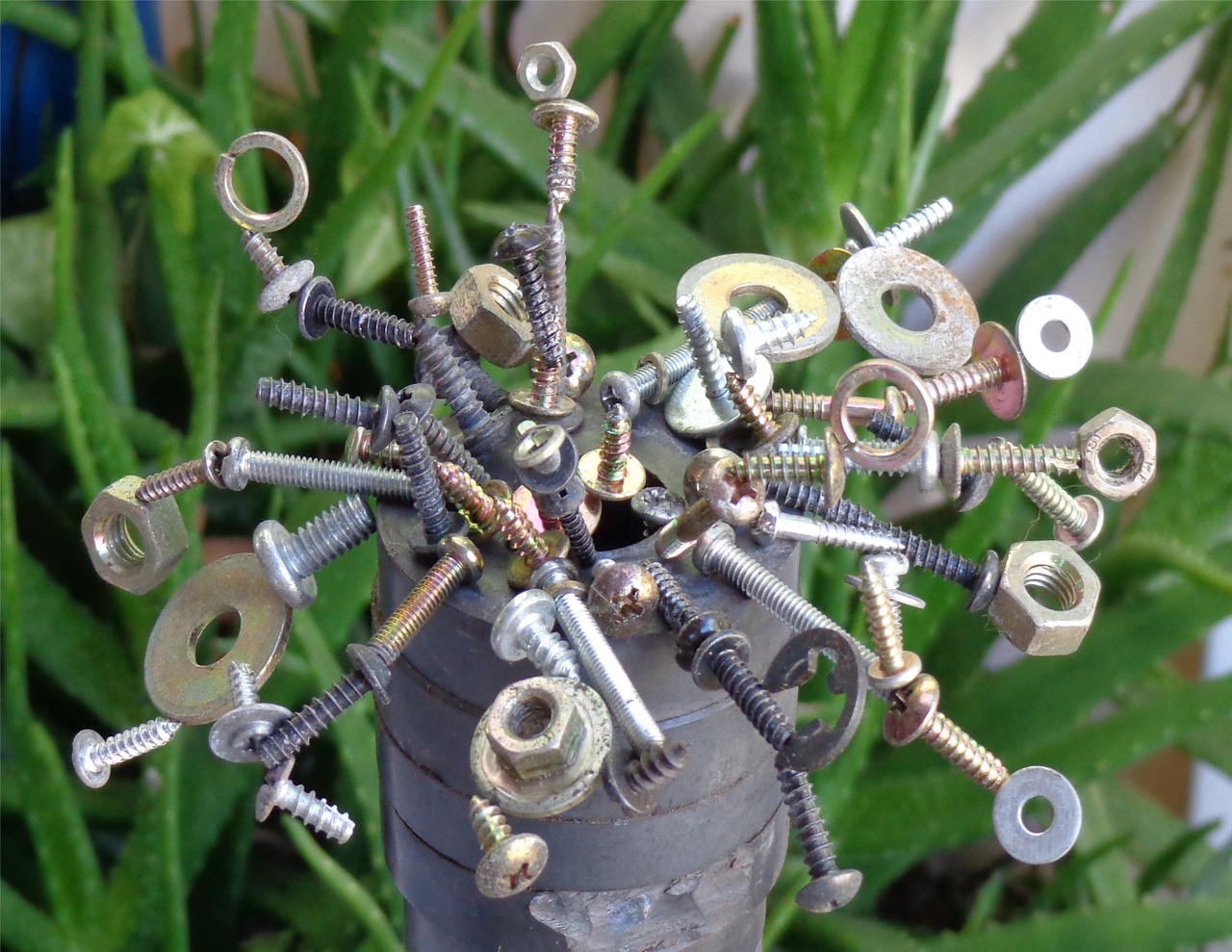magnet screws metal free photo