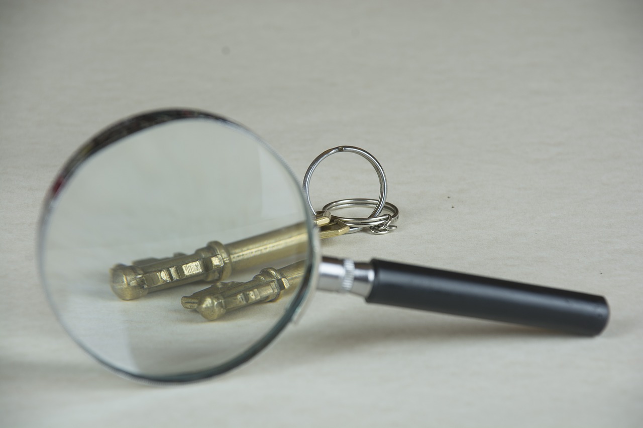 magnifying glass  increase  glass free photo
