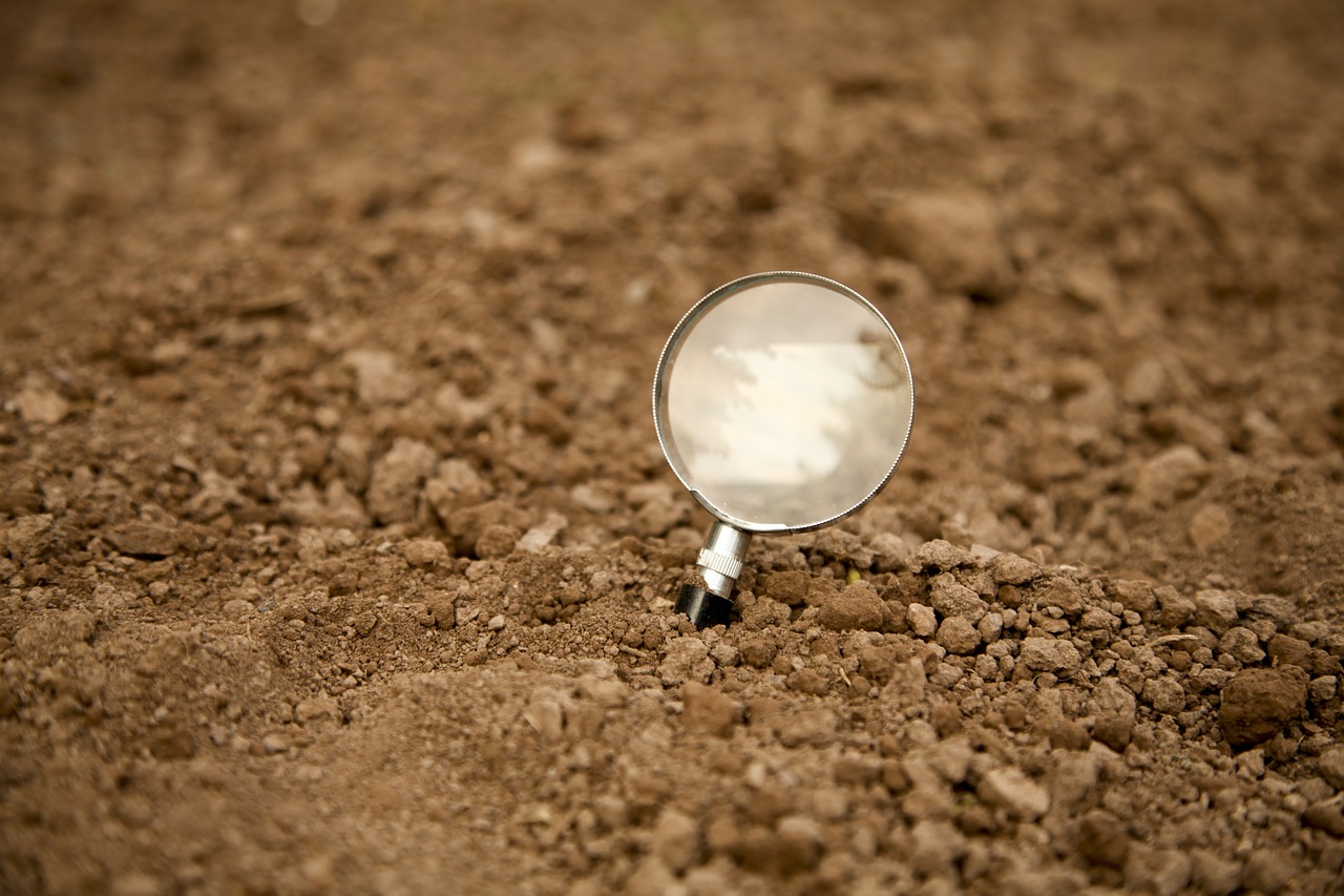 magnifying glass  earth  field free photo