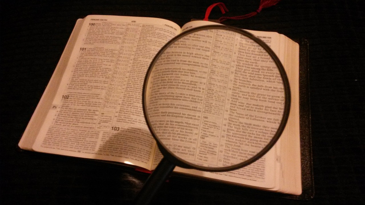 magnifying glass magnified magnifying free photo