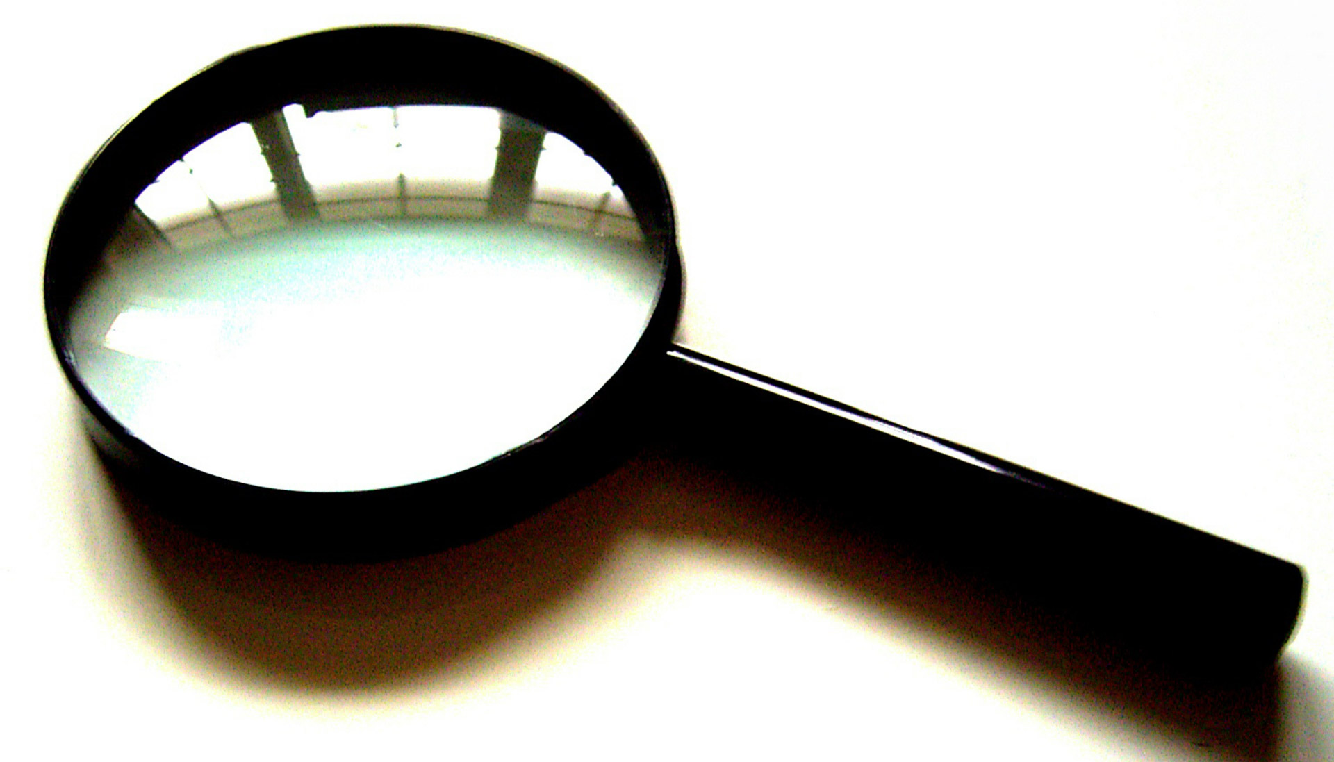 magnify magnifying glass free photo