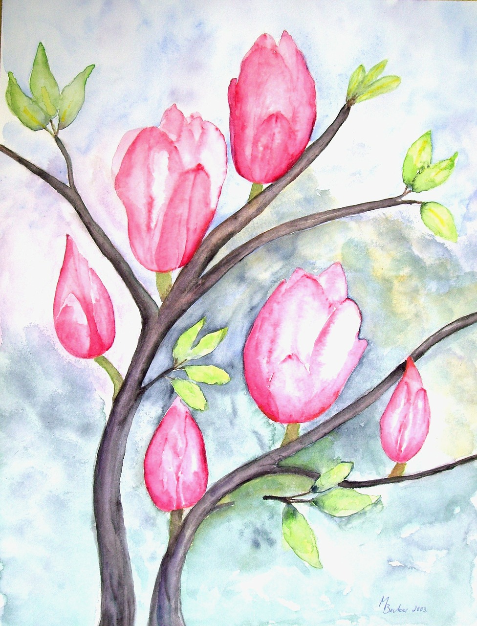 magnolia flowers painting free photo