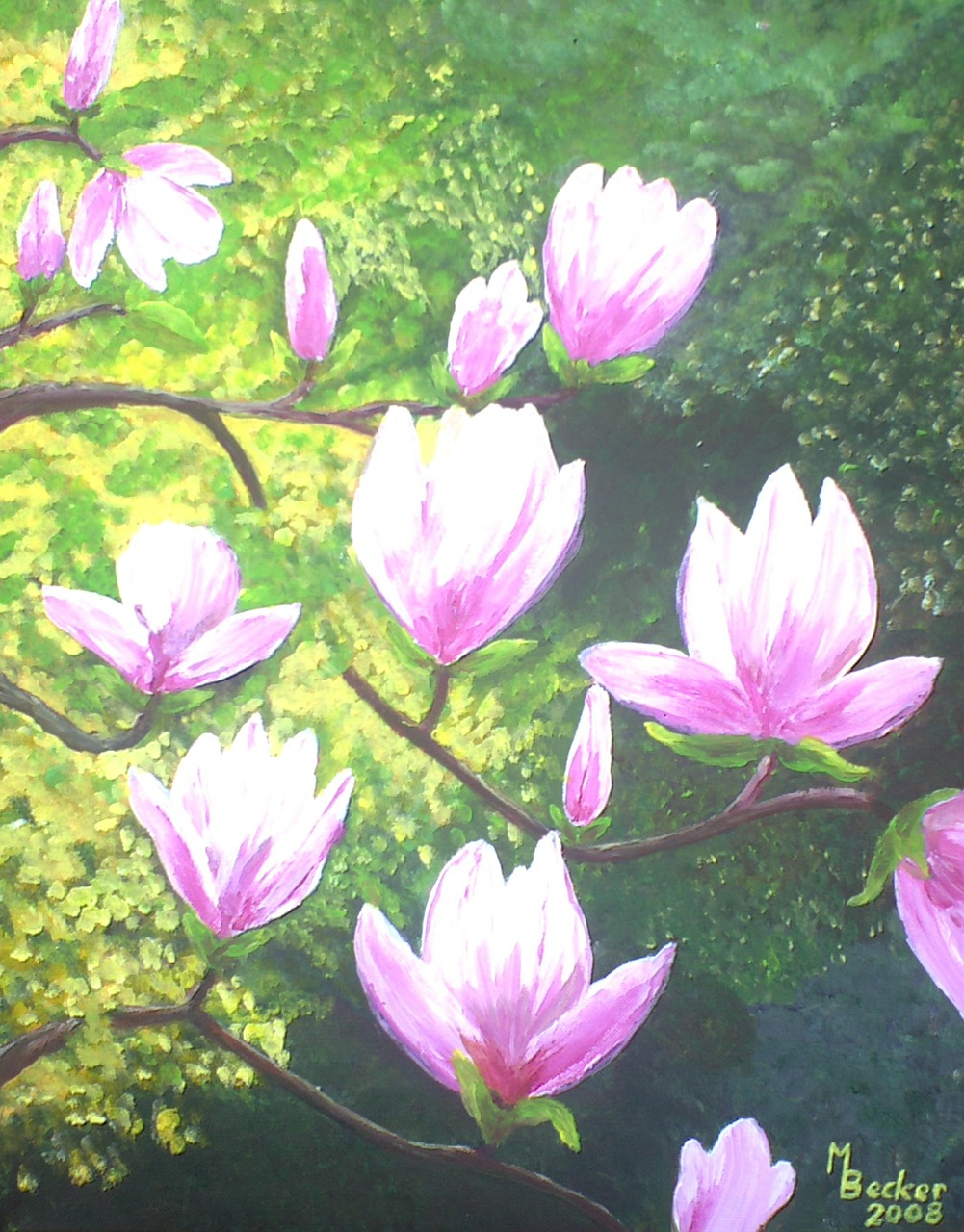 magnolia painting image free photo