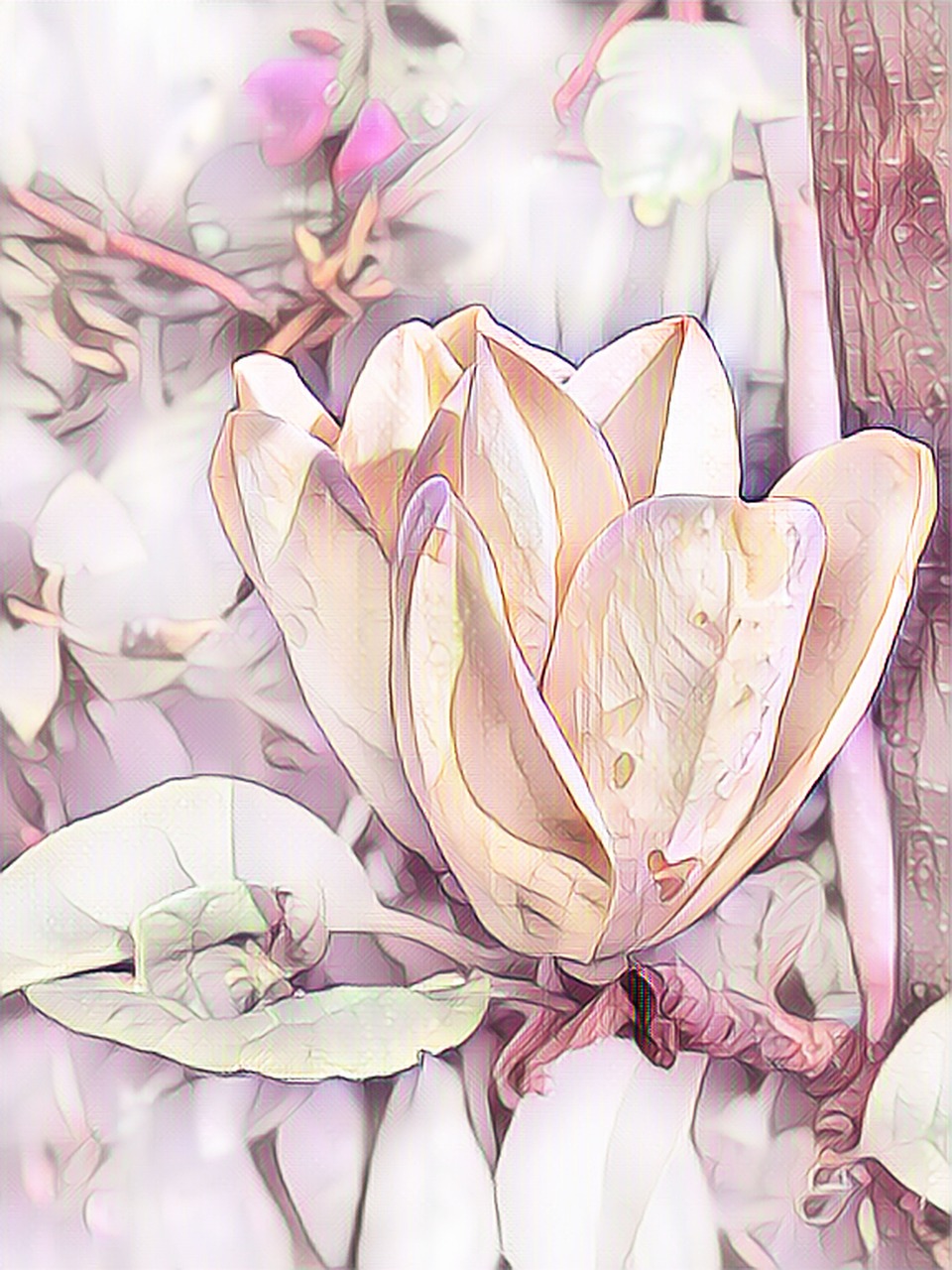 magnolia  digital painting  pastel free photo