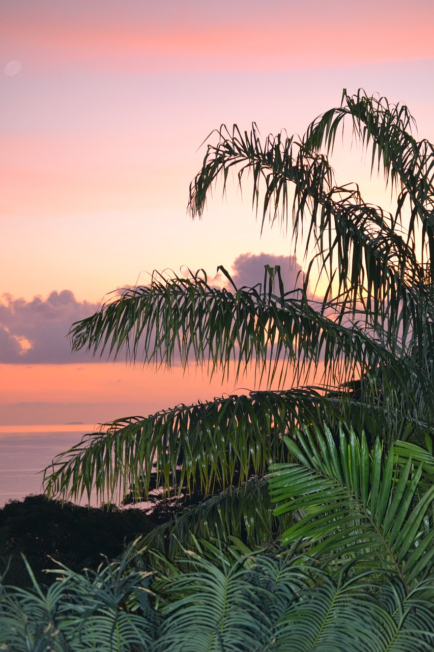 mahe sunset seychelles free photo