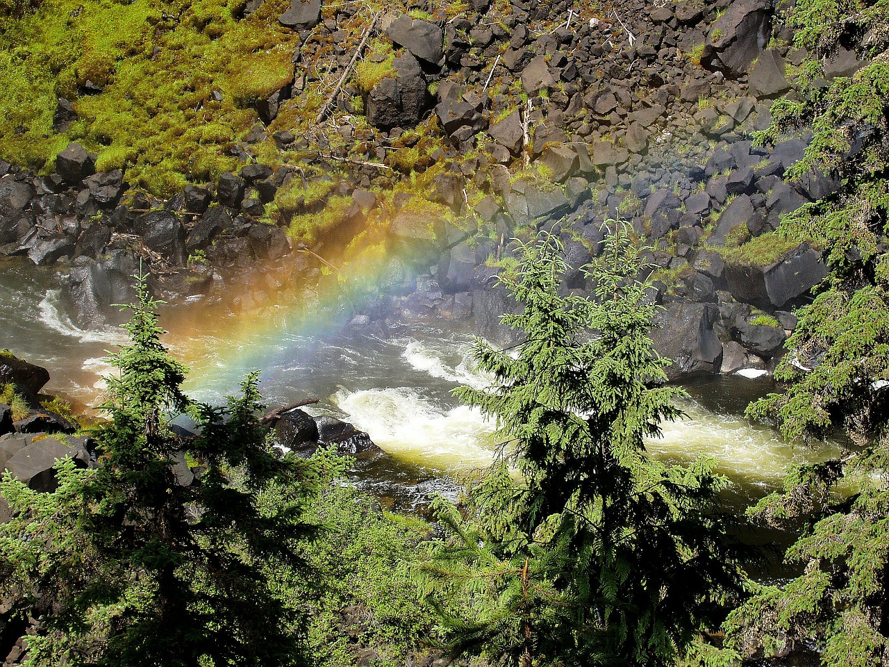 mahood river rainbow water free photo