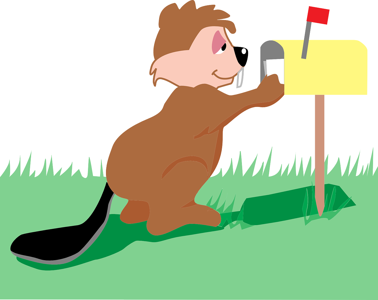 mail box beaver free photo