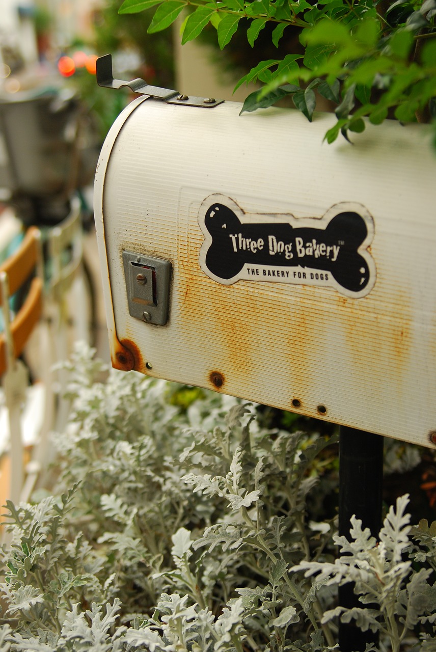 mail box  white  bone free photo