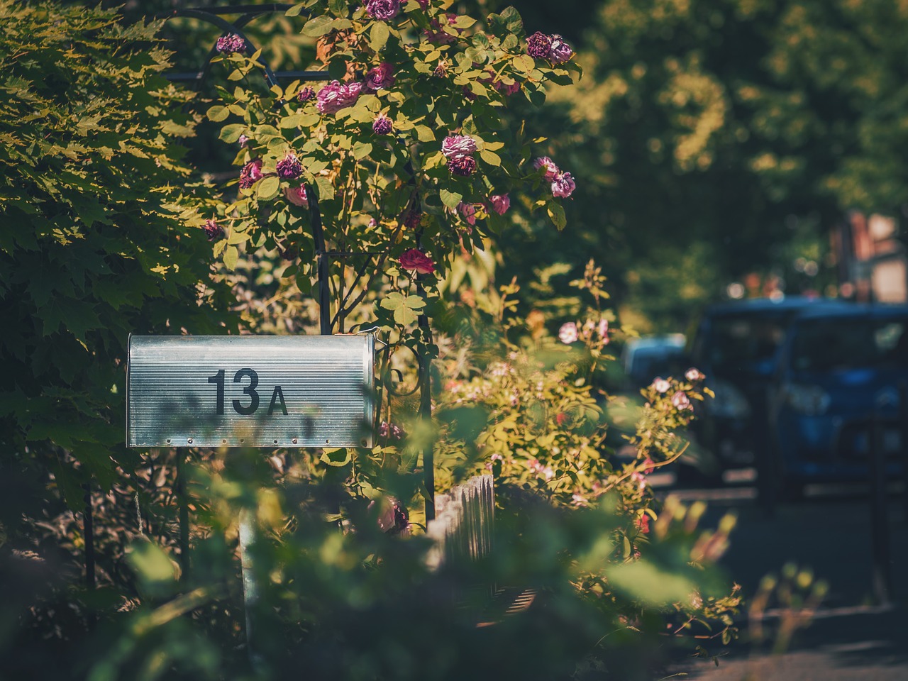 mailbox outside green free photo