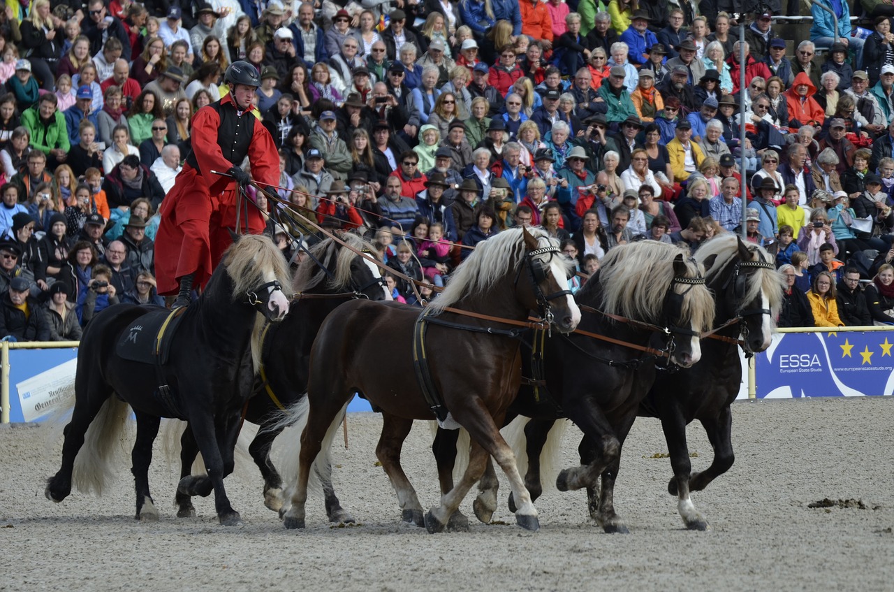 main and state stud marbach stallion parade hungarian post free photo