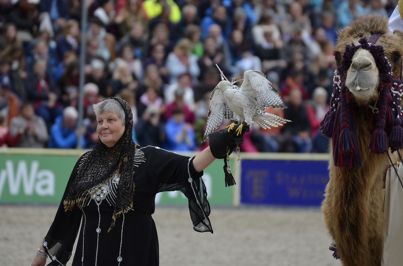 main and state stud marbach stallion parade bird free photo