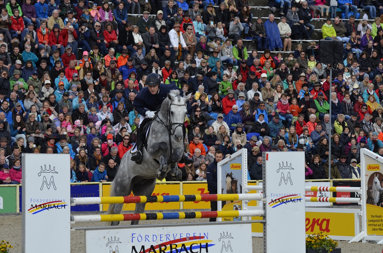 main and state stud marbach stallion parade in 2017 mold free photo