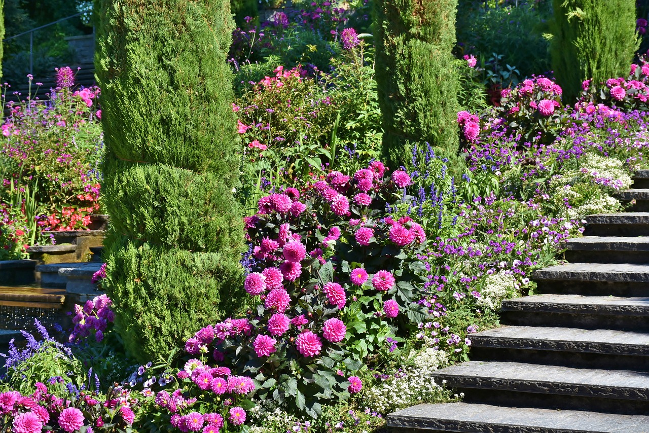 mainau island lake constance free photo