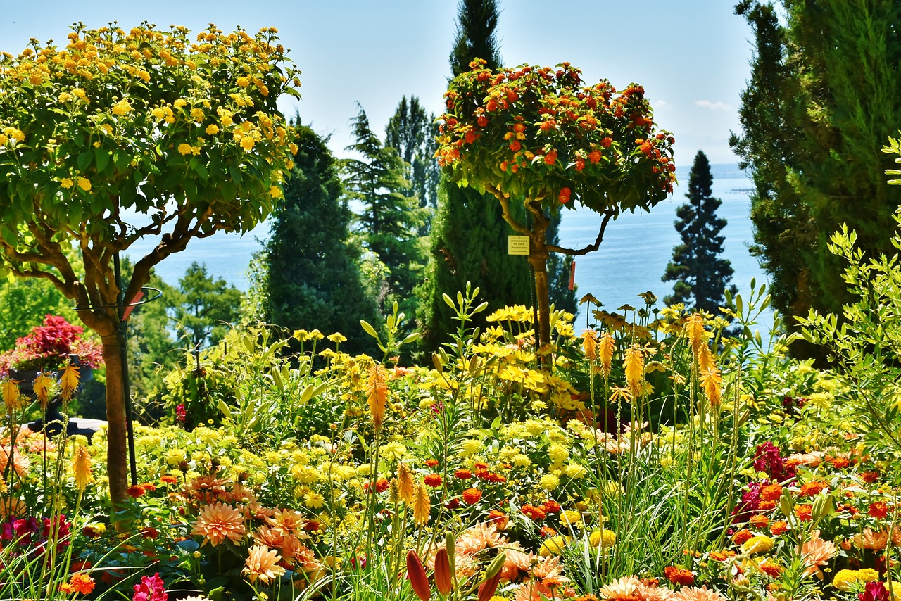 mainau island lake constance free photo