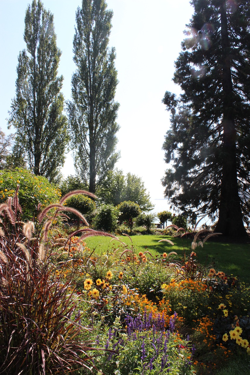 mainau island lake constance free photo