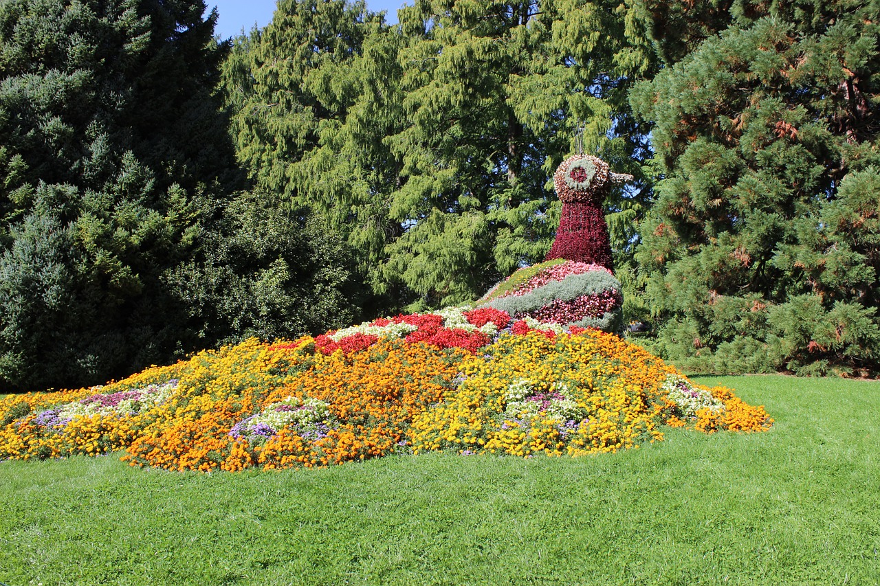 mainau island lake constance free photo