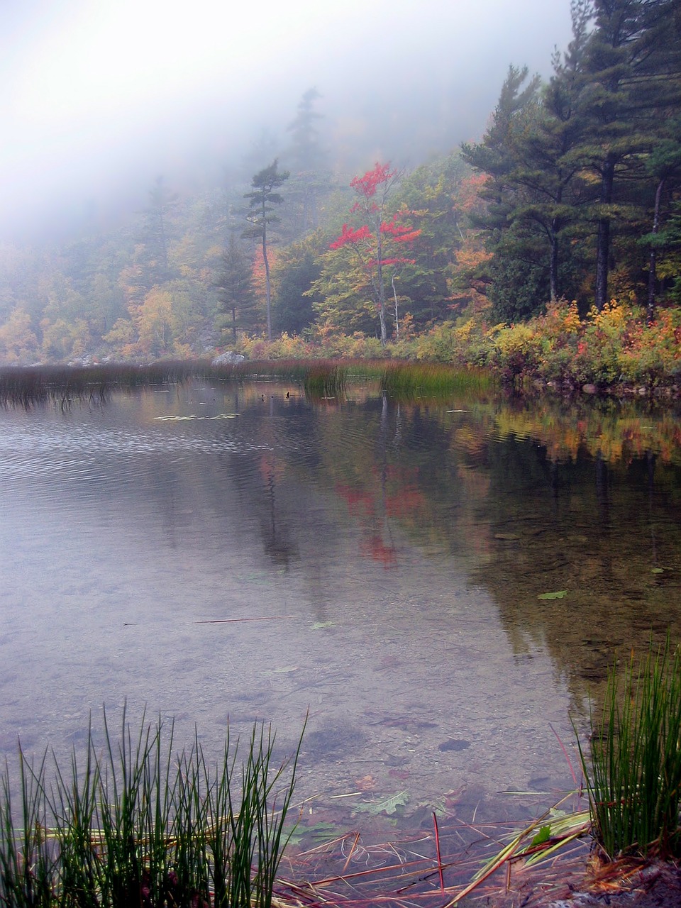 maine scenic pond free photo