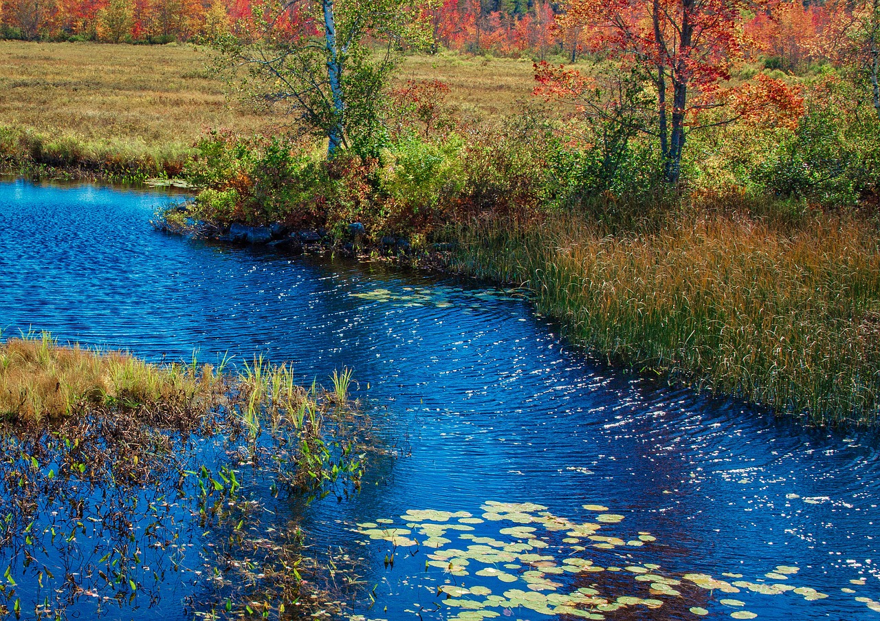 maine fall river free photo