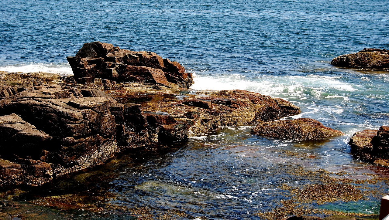 Coast shore. Coast of Maine.