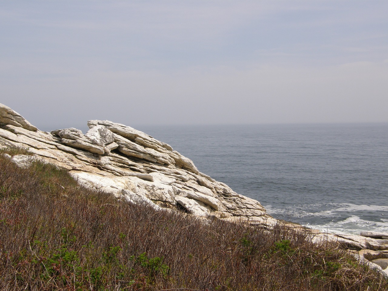 maine coast ocean free photo