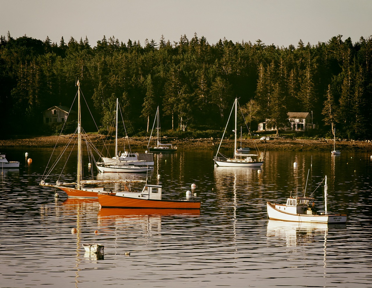 maine harbor bay free photo