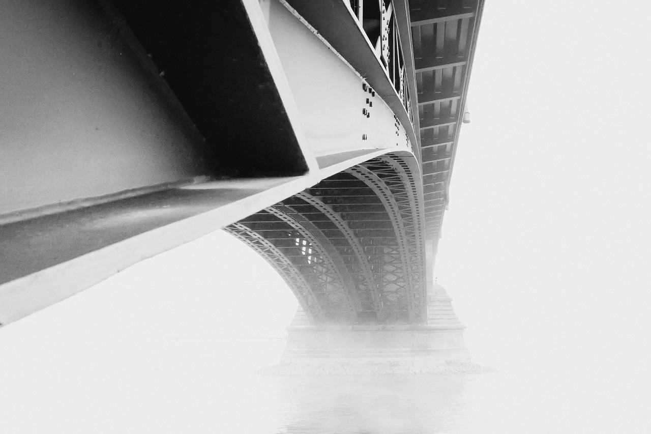 mainz theodor-heuss bridge fog free photo