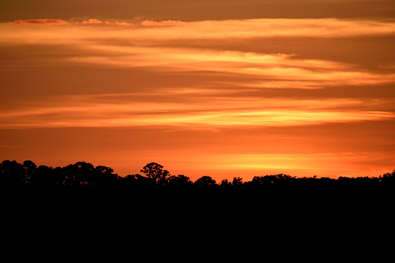 majestic sunset  sky  vibrant free photo