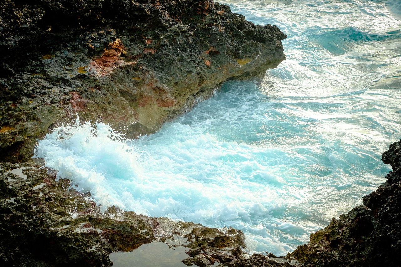 majorca  spain  sea free photo