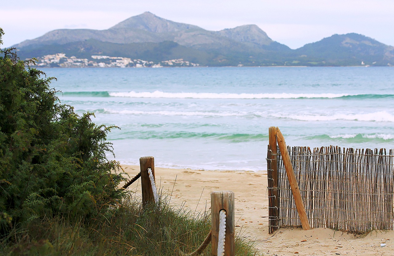 majorca  beach  sea free photo