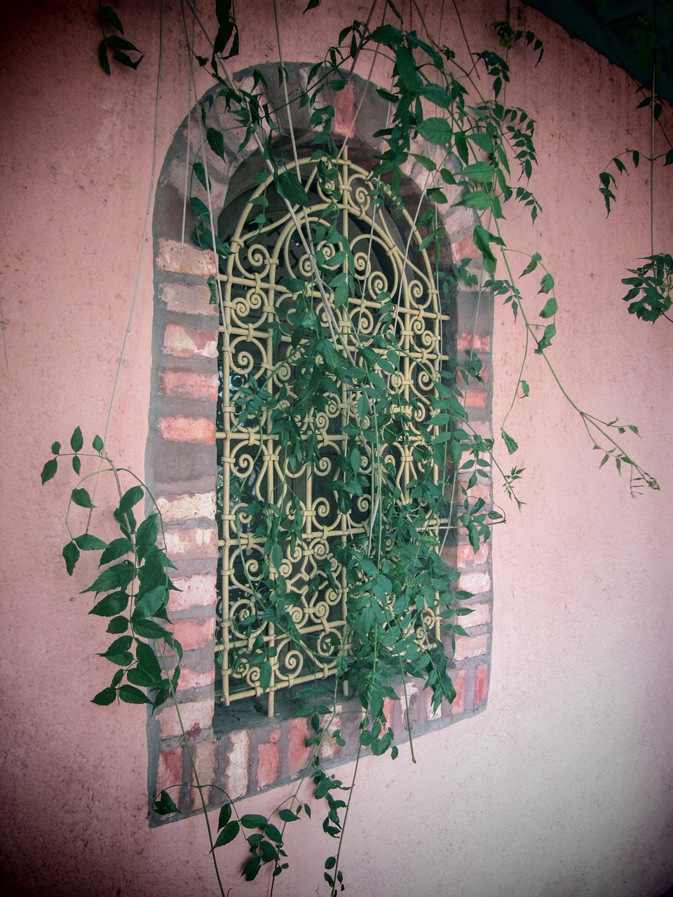 majorelle garden morocco marrakech free photo